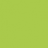 Фото декоров Кромка 2x19мм ABS Egger  Лайм (Зелёный лимон) 2х19х0мм