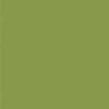 Фото декоров Кромка 2x19мм ABS Egger  Зелёный киви 2х19х0мм