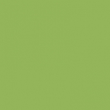 Фото декоров Кромка 1x22мм ПВХ для плит  МДФ AGT (Турция)  Фисташковый (Fistik Yesili) 1х22х0мм