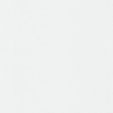 Фото декоров Стеновые панели ПВХ Век  Белый матовый 9х370х3000мм