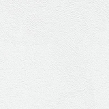 Фото декоров Стеновые панели ПВХ Век  Лопез белый 9х250х2700мм