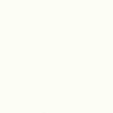 Фото декоров Стеновые панели ПВХ ЛеГранд  Белый глянец 9х250х2700мм