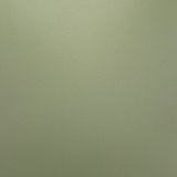 Фасадная панель лакированная матовая Зелёный матовый 19мм — Купить в Москве