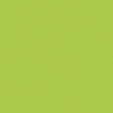 Фото декоров Кромка 2x35мм ABS Egger  Лайм (Зелёный лимон) 2х35х0мм
