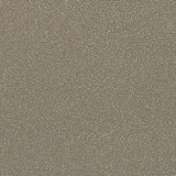 Фото декоров Столешницы Кедр 3050x600х38  Галактика Шампань глянец 38х600х3050мм